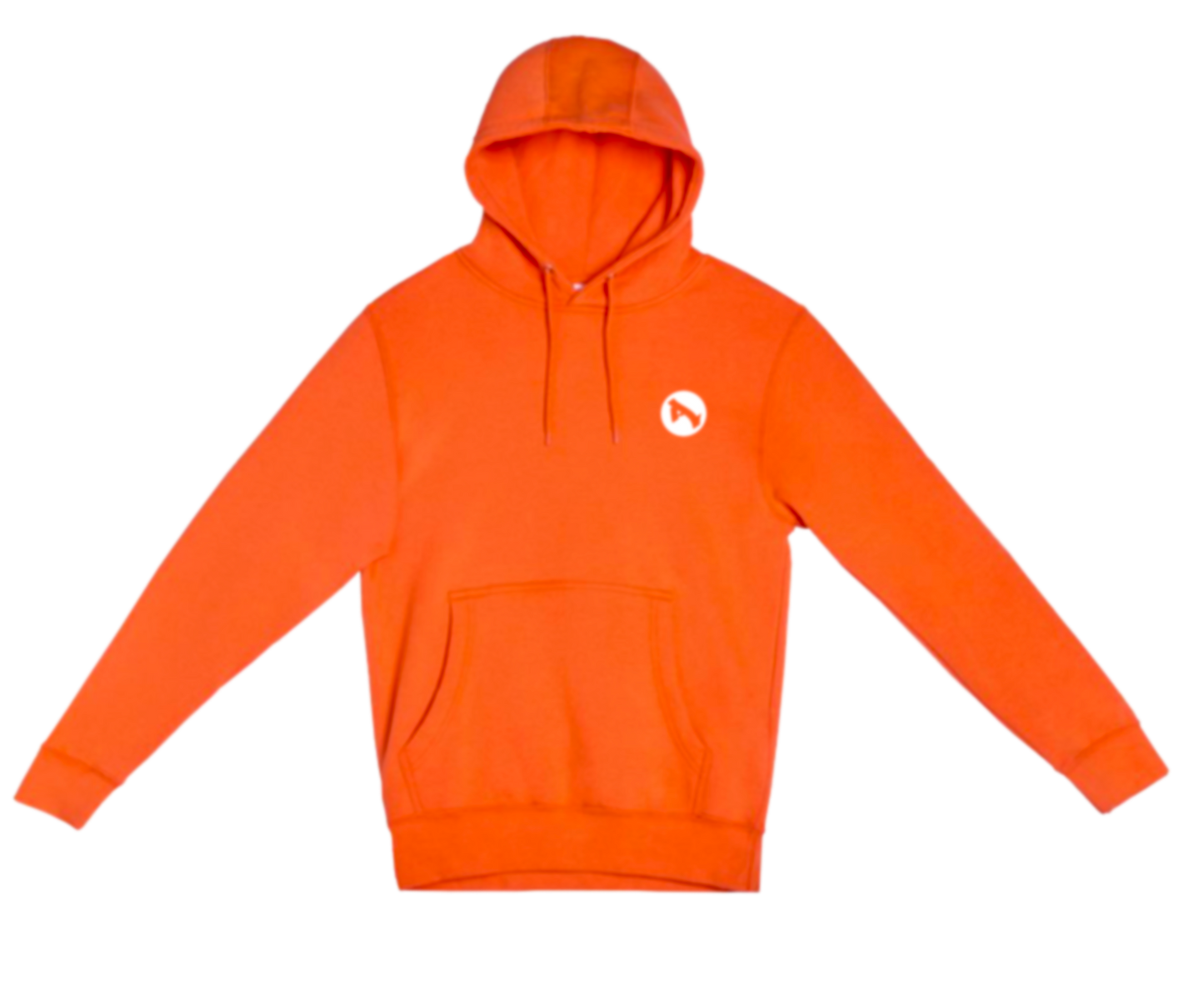 PLAN A CLASSIC HOODIE