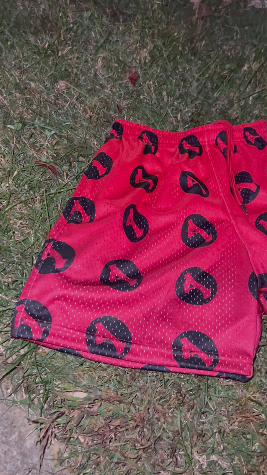 PLAN A Shorts “Lady Bug”